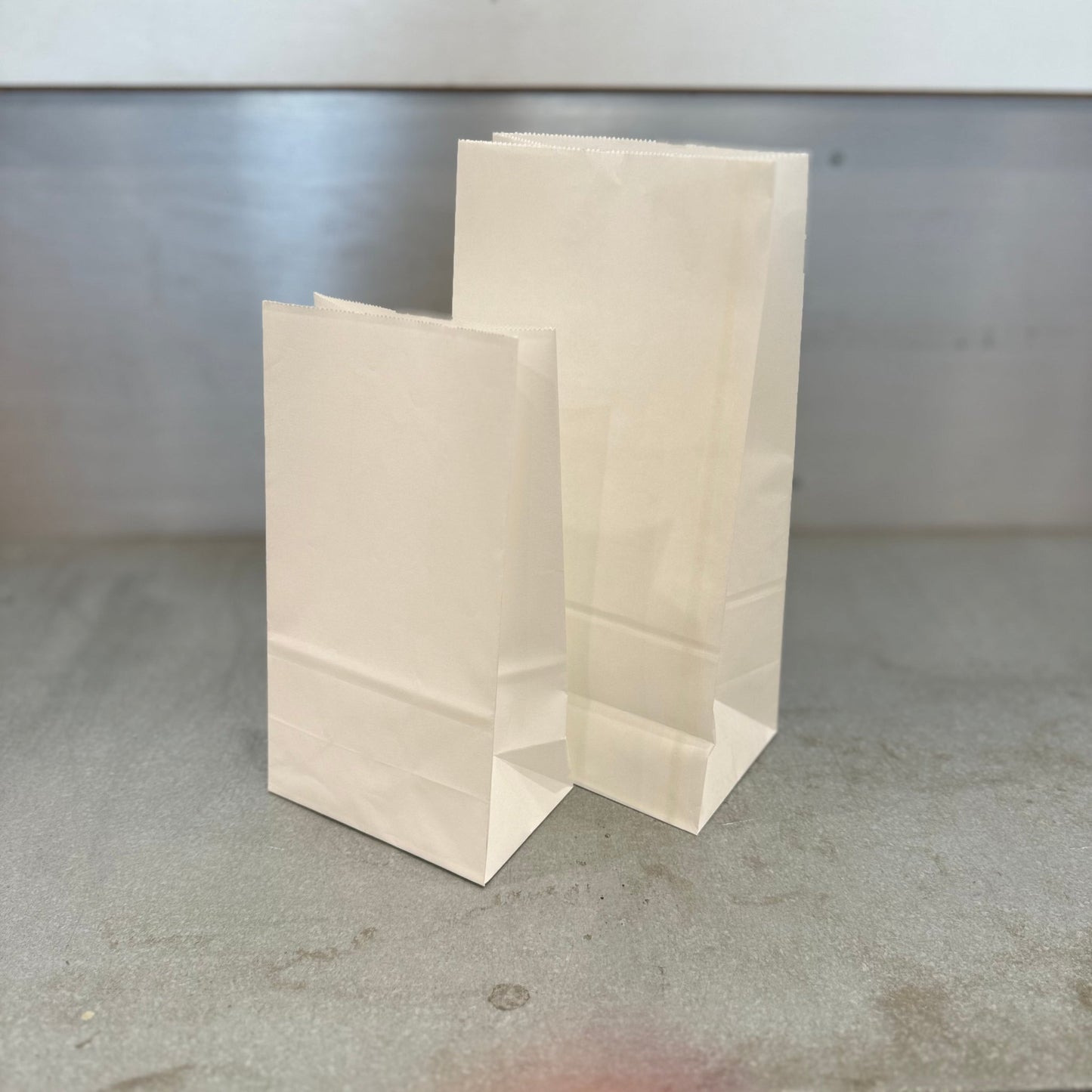 Blank Paper Bags - Pair